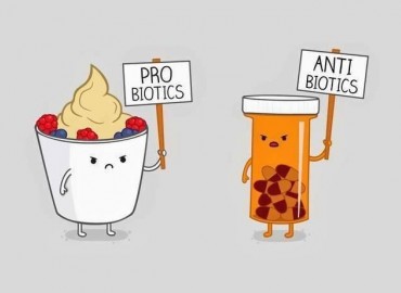 Dost Canlılar: Probiyotikler