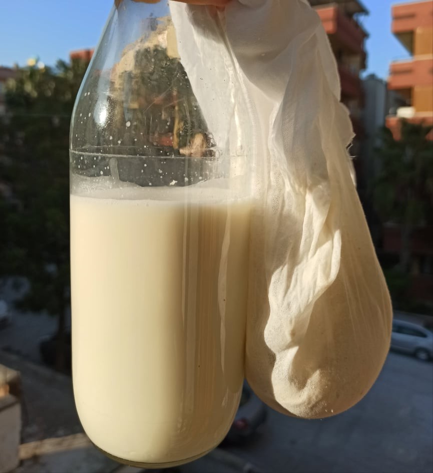 KURUYEMİŞLERDEN BİTKİSEL SÜT VE UN YAPILIŞI 